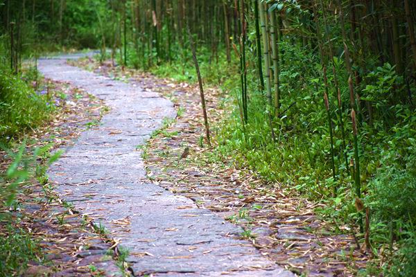 湖南省工业和信息化厅印发《湖南省级人工智能终端产品认定管理办法(试行)》