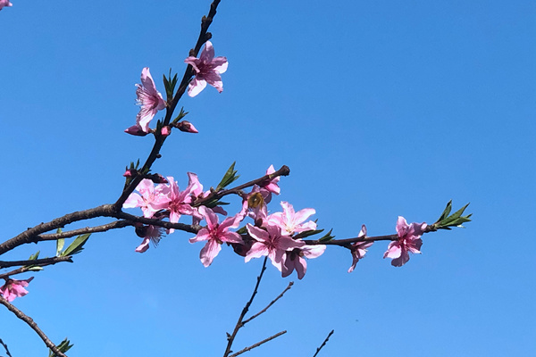 含氟防水剂的防水原理：结构篇