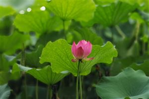 浙江新增8家省级纺织智能工厂